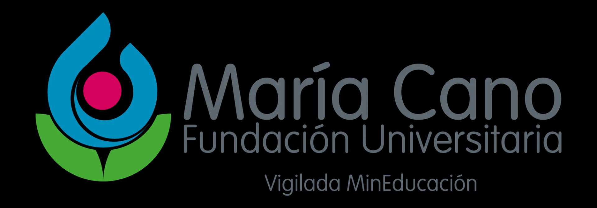 Logo del medio